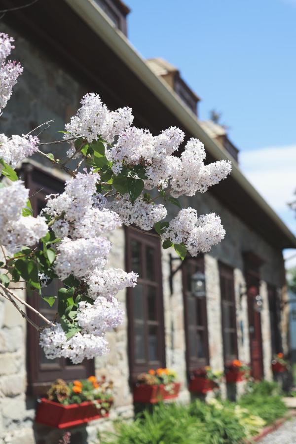 Domaine Steinbach Cidrerie B&B Distillerie Saint-Pierre-de-l'Ile-d'Orleans Ngoại thất bức ảnh